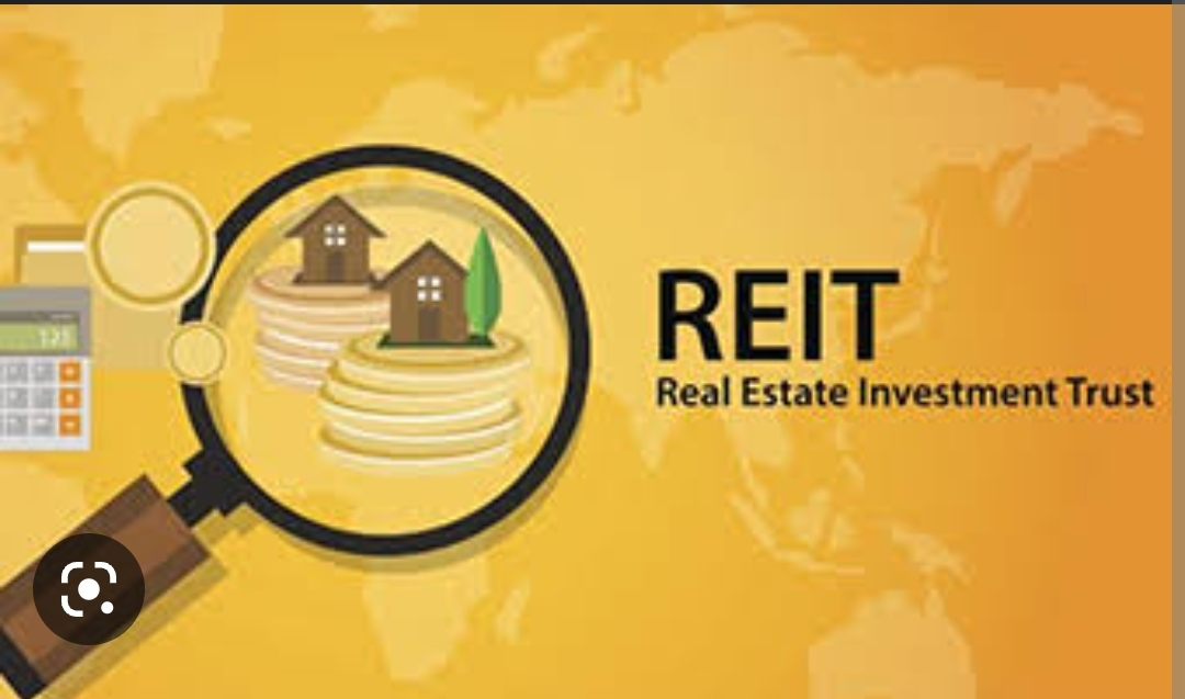 REITs (Real Estate Investment Trusts)