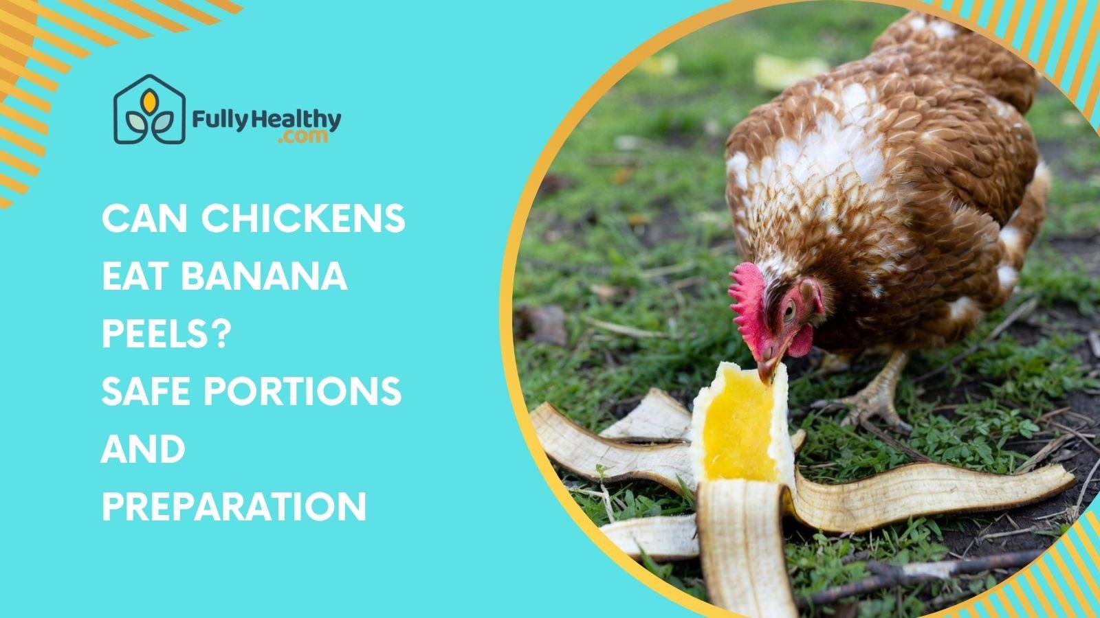 Can Chickens Eat Banana Peels? Safe Portions and Preparation