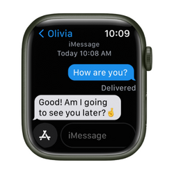 Can you text on the apple watch series online 3