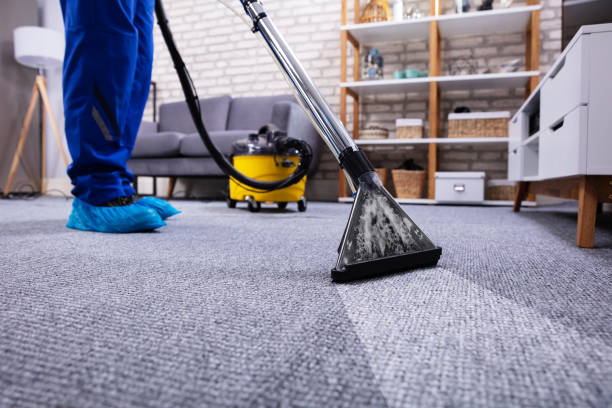 the ultimate guide to professional carpet cleaning