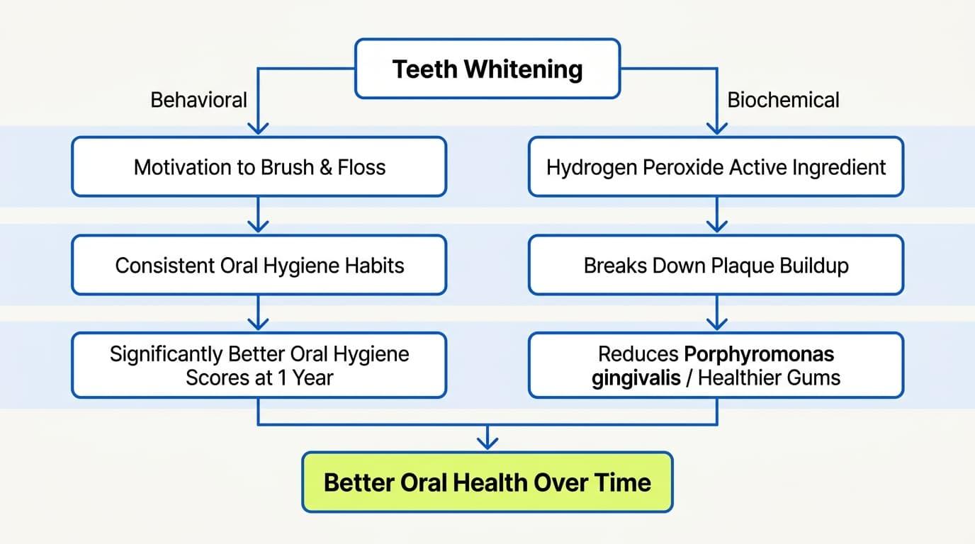 It Supports Better Oral Health Habits