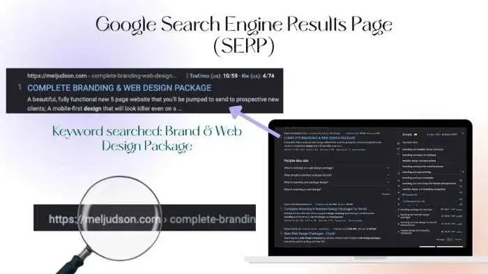 Google search engine results page (serp) infographic