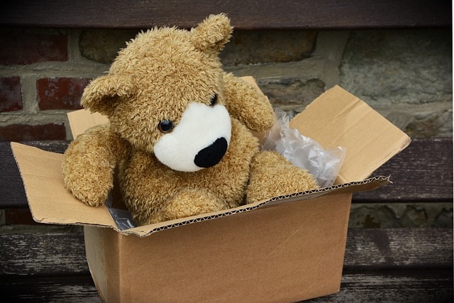 stuffed bear in cardboard box