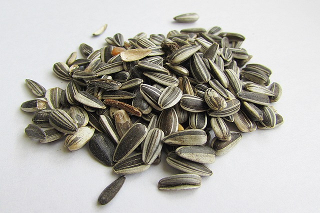 sunflower seeds, shell, kernels