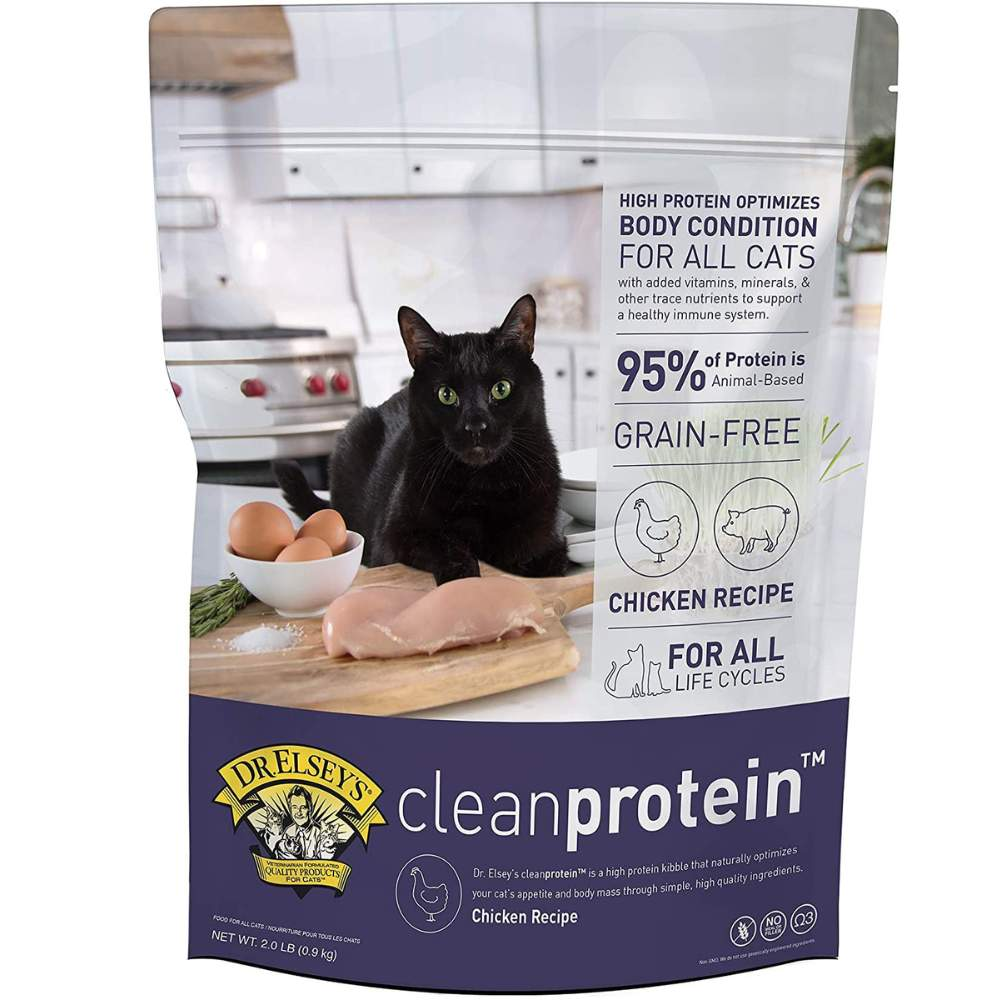 Best High Calorie Cat Food Review Top Picks 