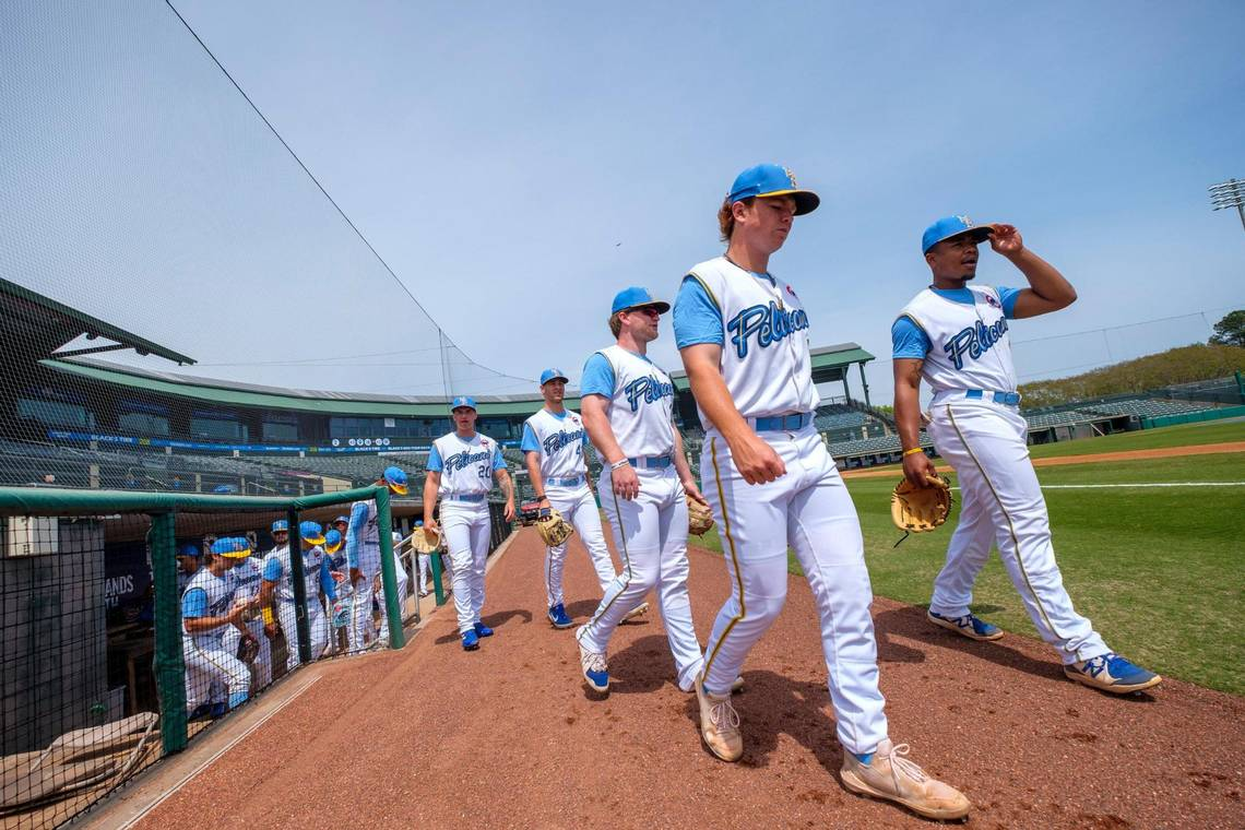 Myrtle Beach Pelicans Ballgame