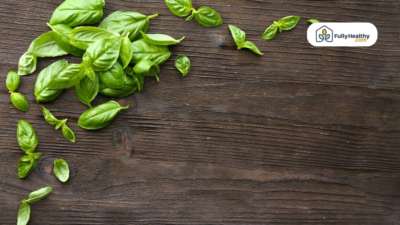 Fresh basil leaves scattered across dark textured wooden surface background