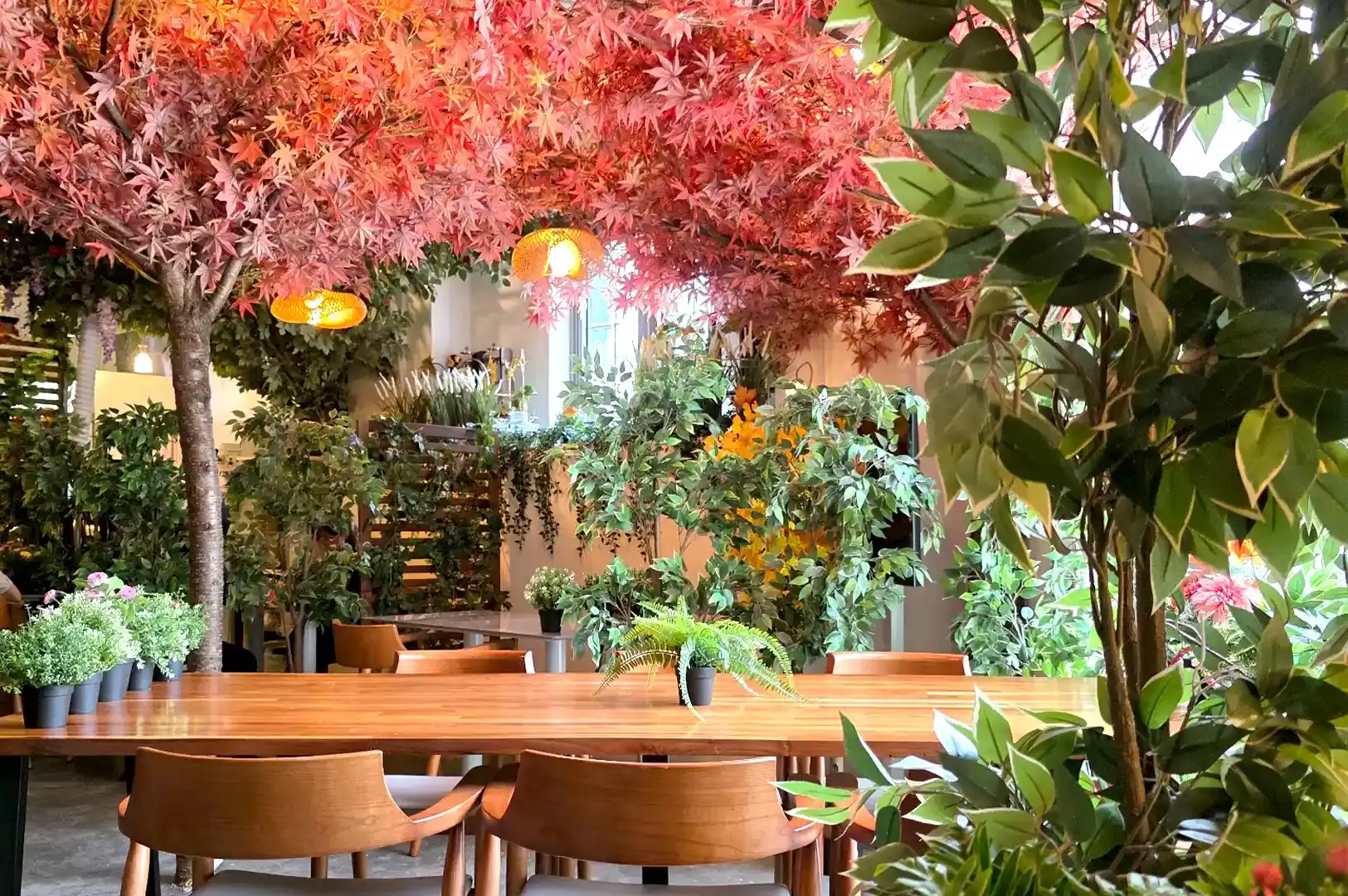 Cafe Kreams cozy indoor autumn forest theme featuring vibrant red maple leaves and warm wooden tables in Singapore.