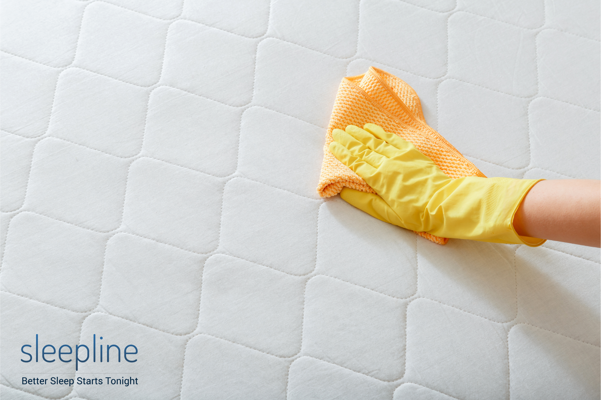 Absorbing cat pee from a mattress