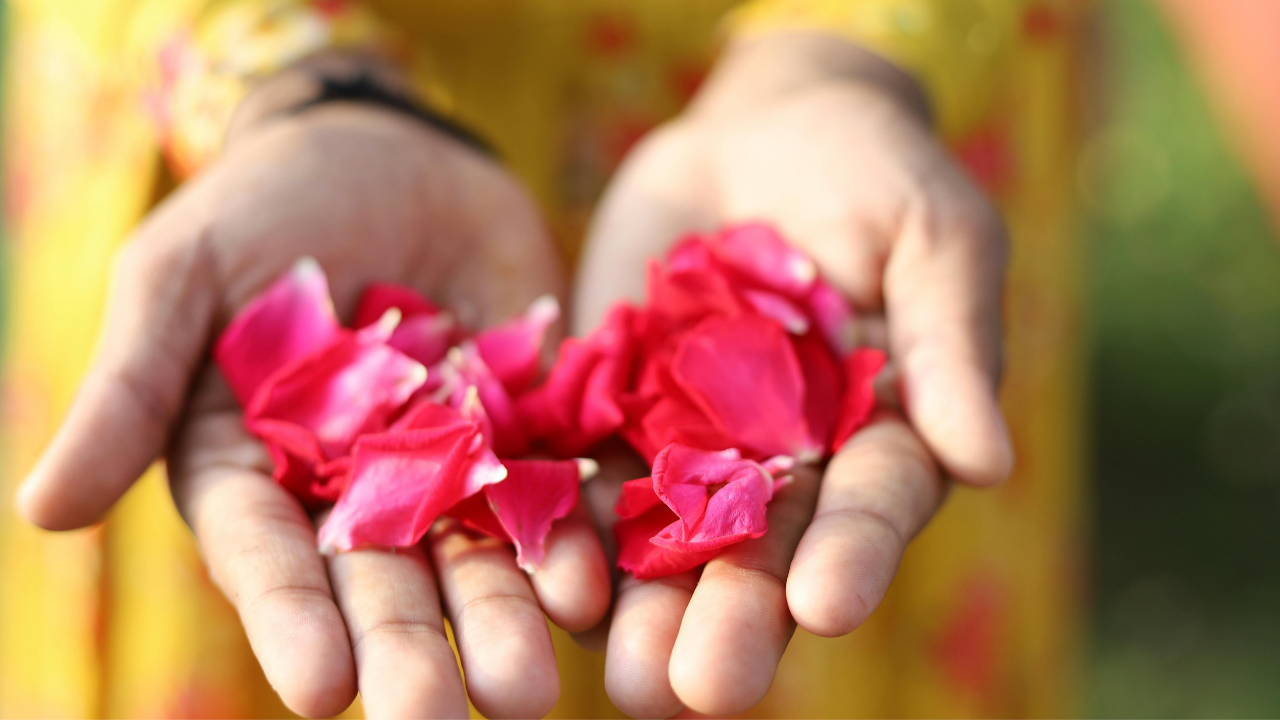 menstruation education