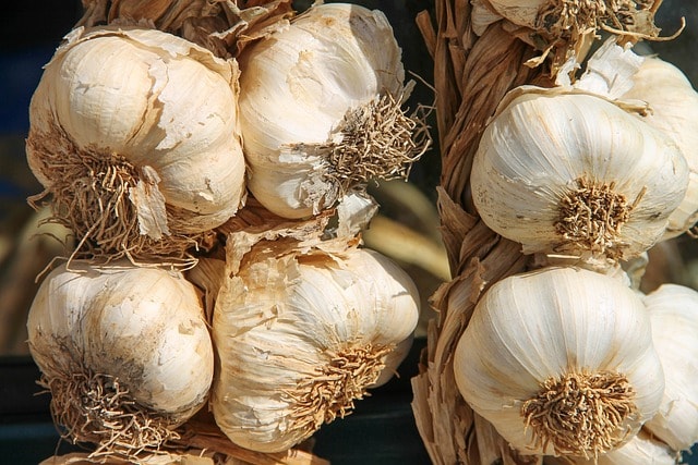 garlic, ingredient, flavor