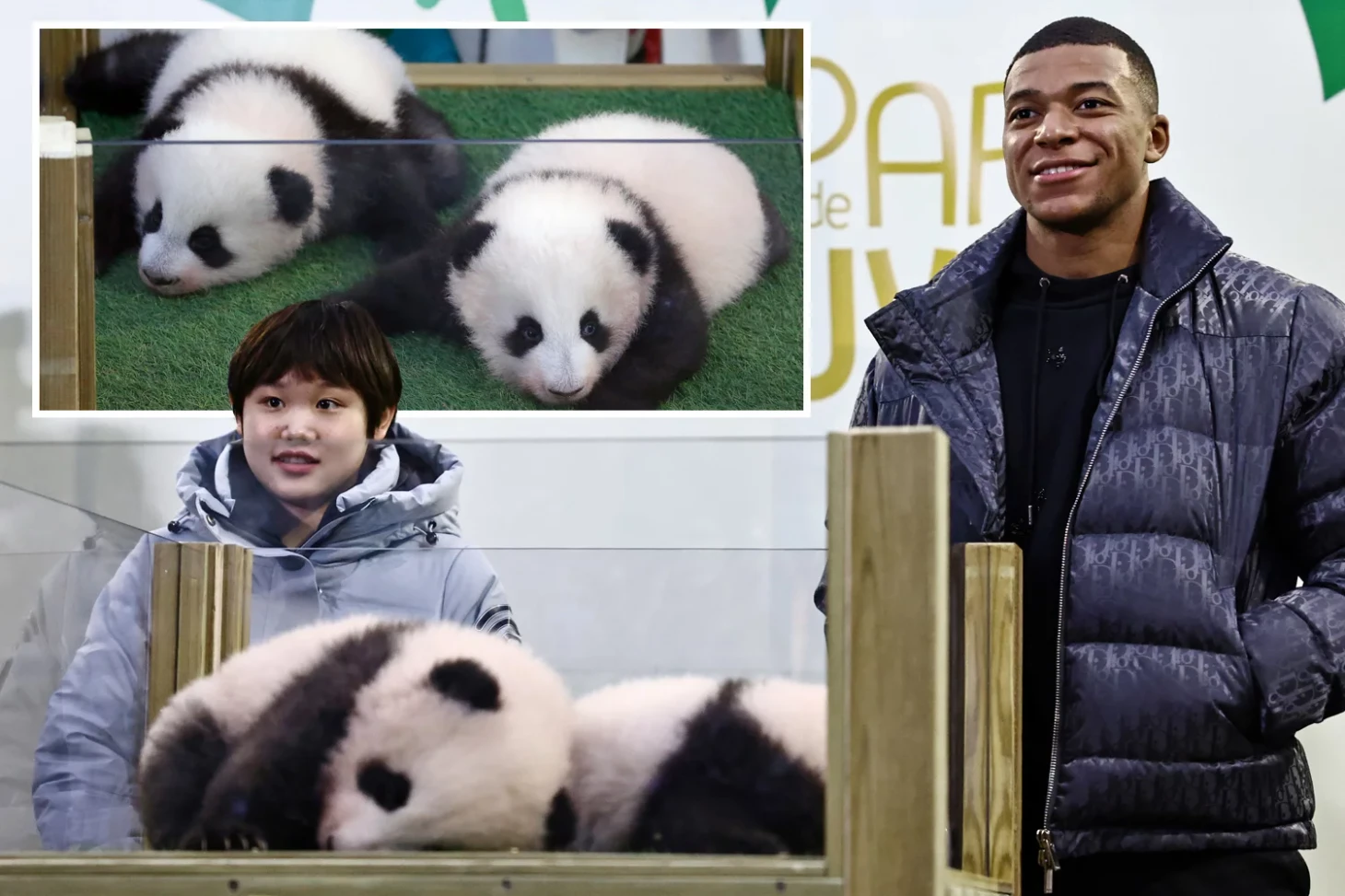 Mbappe and his pandas