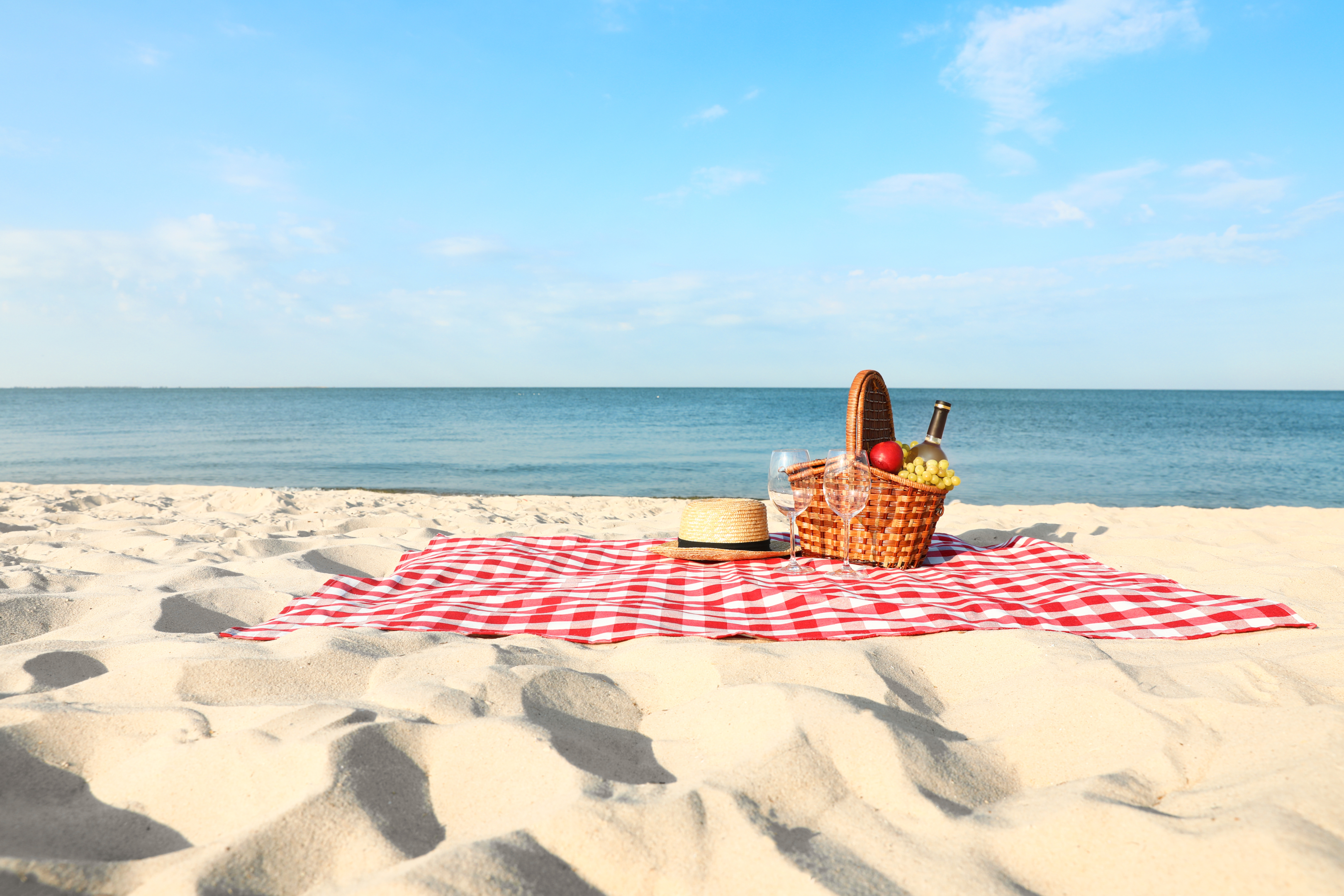 Picnic by the Sea (Shutterstock)