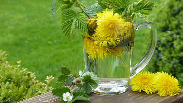 Getting ready to make dandelion tea