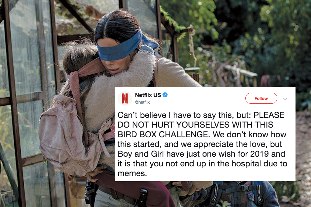 social media challenges - bird box challenge