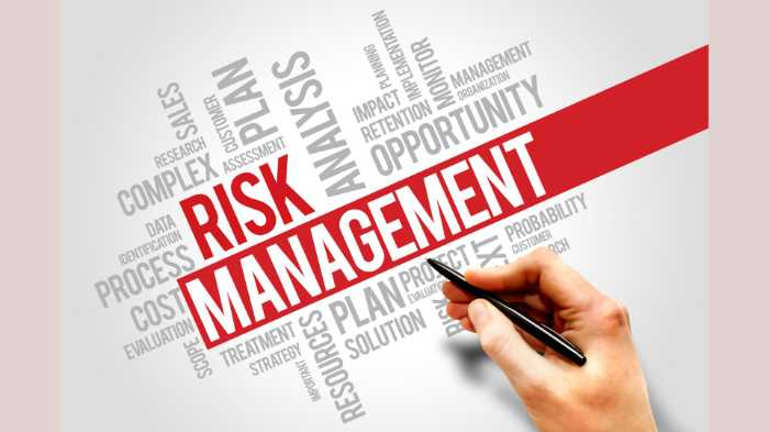 What is risk management?