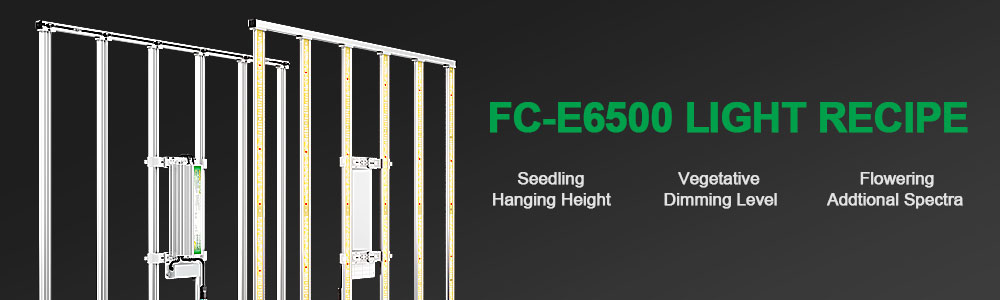 the light recipe of fc-e6500 for all plant growth stages