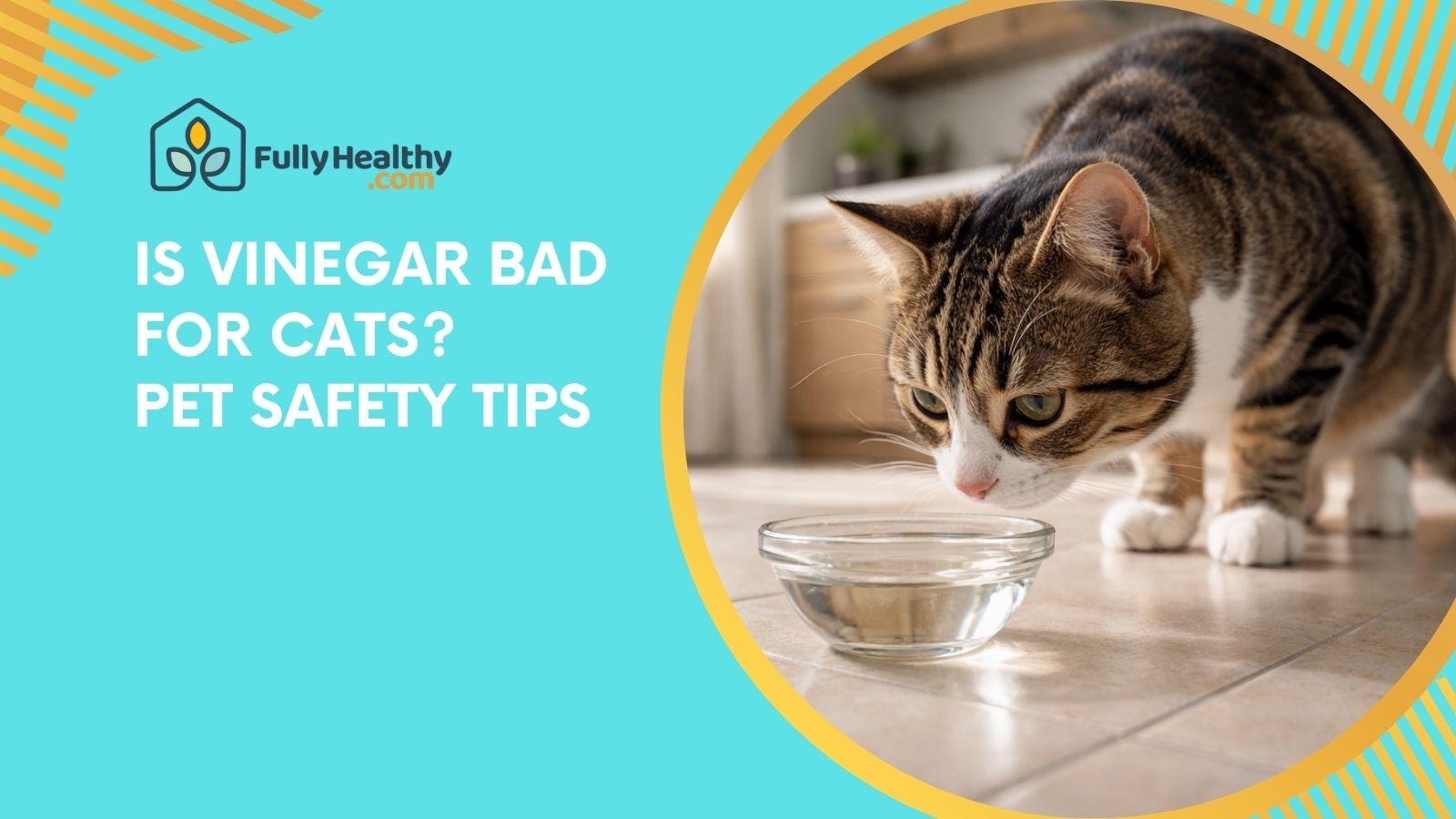 Is Vinegar Bad for Cats? Pet Safety Tips