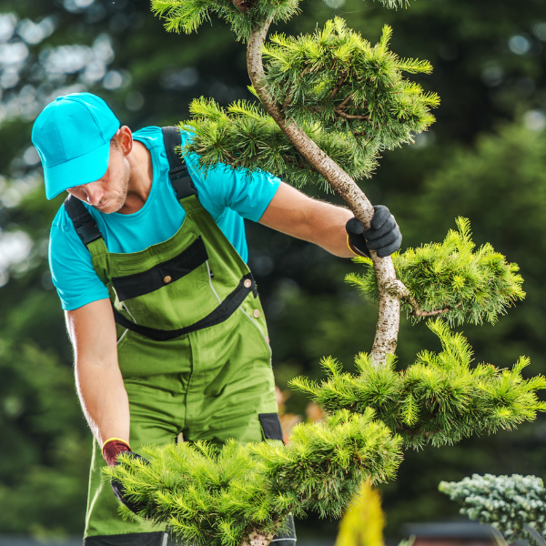 Image showing a professional tree care service team working in a country club.