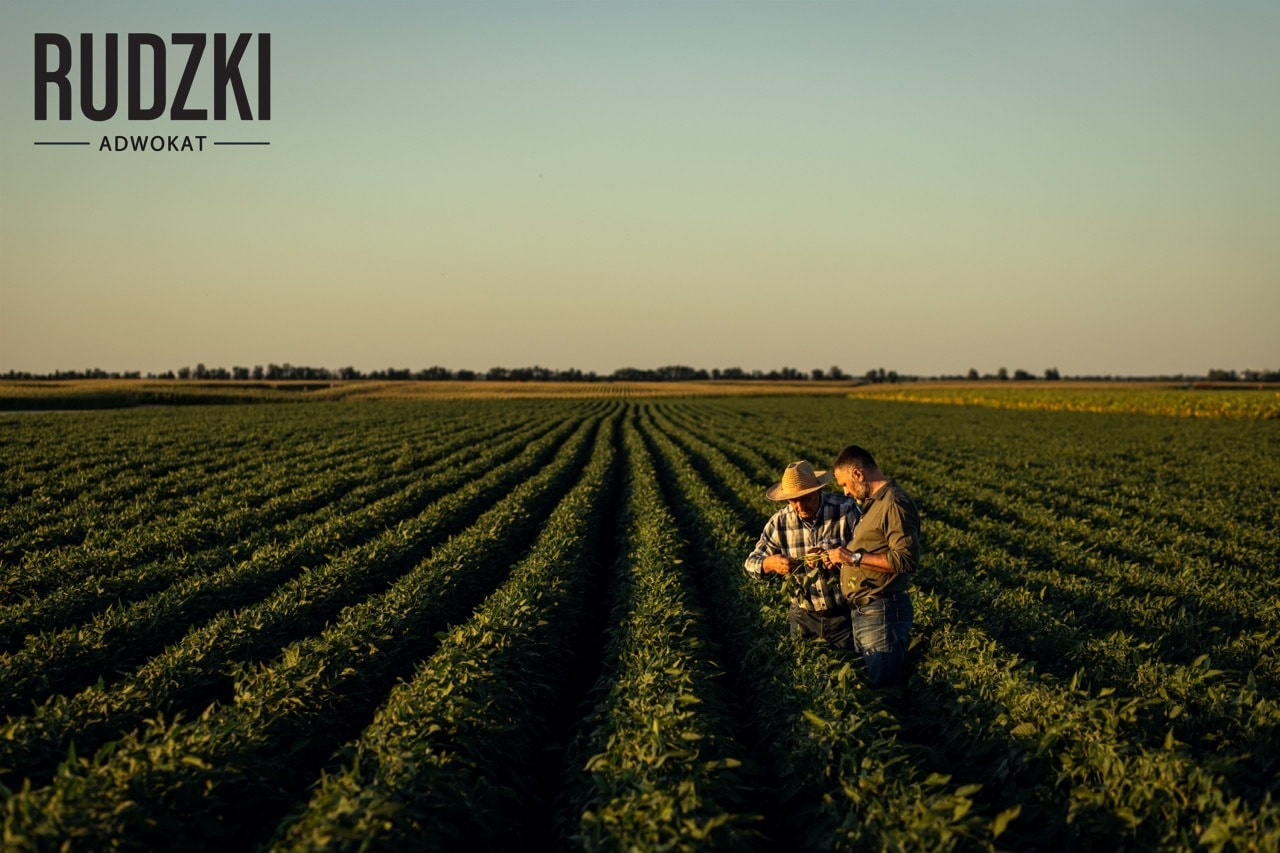 Na podstawie umowy dzierżawy gruntów rolnych mężczyźni są uprawnieni do prowadzenia działalności rolniczej i pobierania pożytków naturalnych z tego gruntu