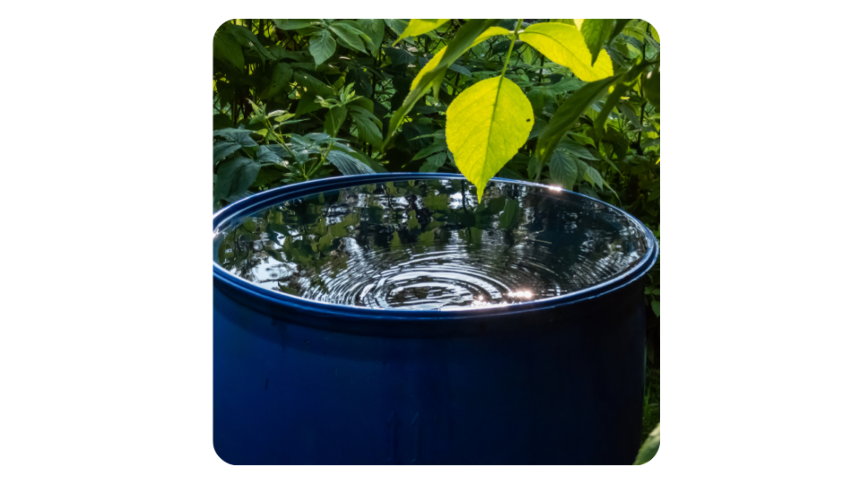 Collecting Rainwater