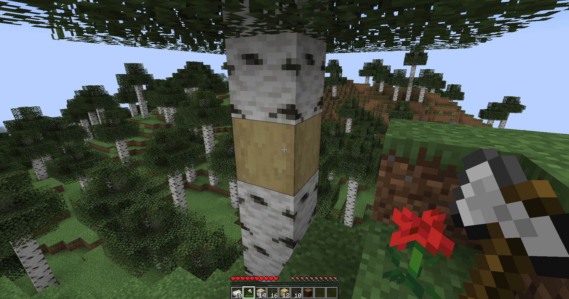 The Stripped Birch Log.