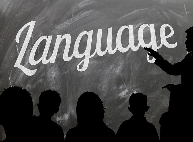 school, board, languages