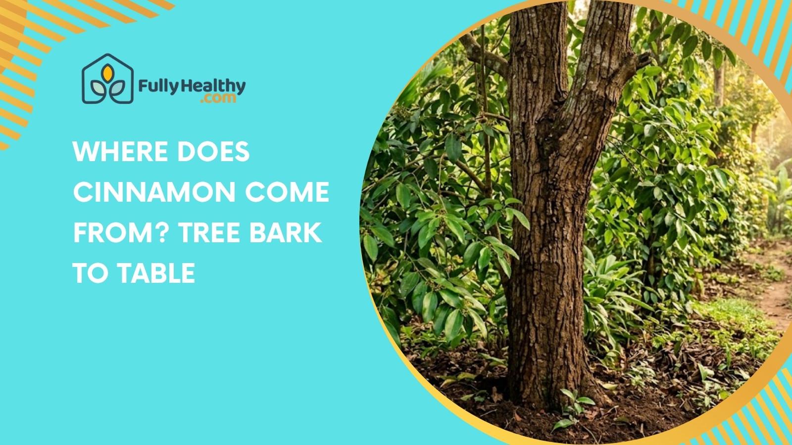 Where Does Cinnamon Come From? Tree Bark To Table