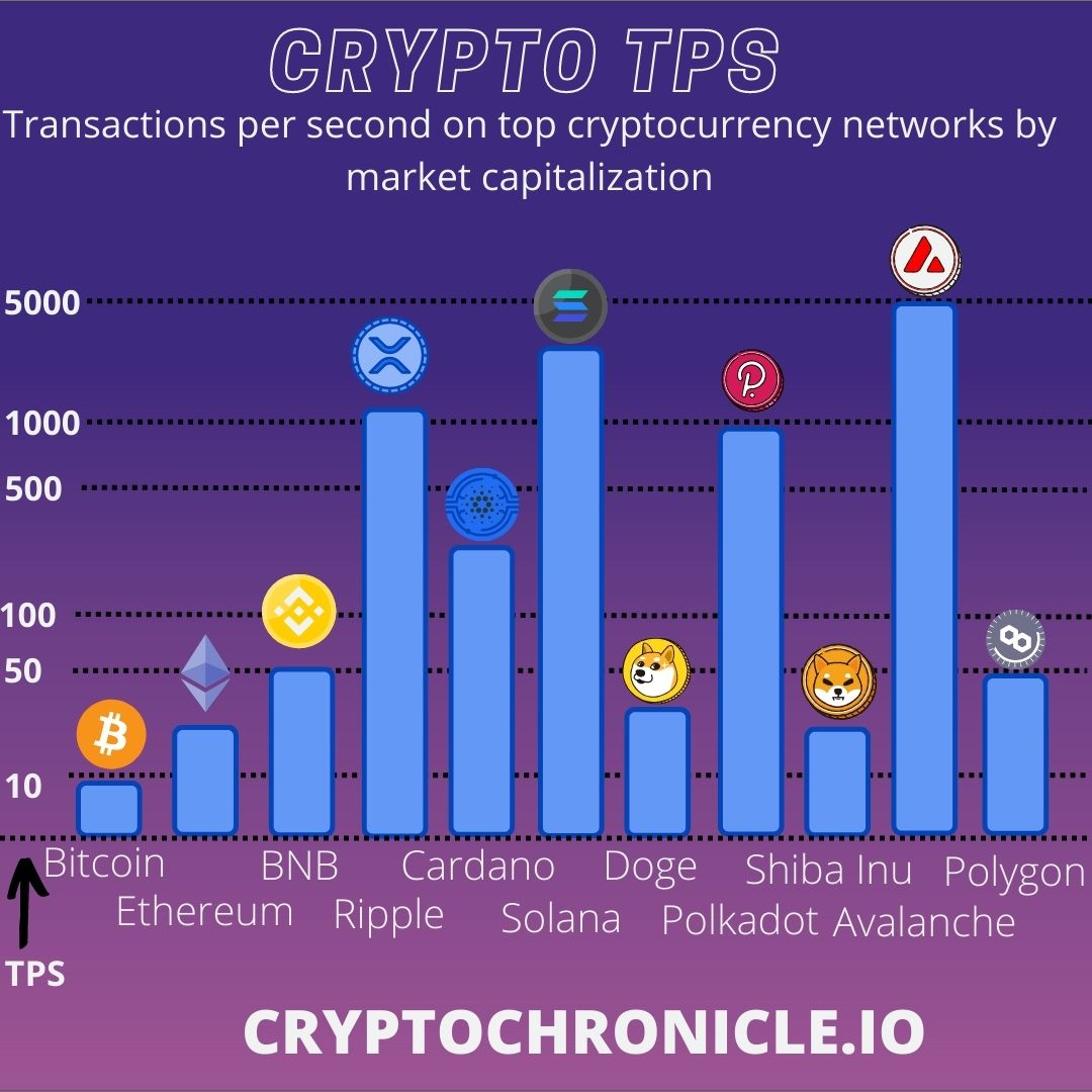 A log scale graph of cryptocurrency transactions per second for the top cryptos by market capitalization. Bitcoin, Ethereum, Binance Coin, Ripple XRP, Cardano ADA, Solana, DOGE, Polkadot, Shiba Inu, Avalanche Avax, Polygon