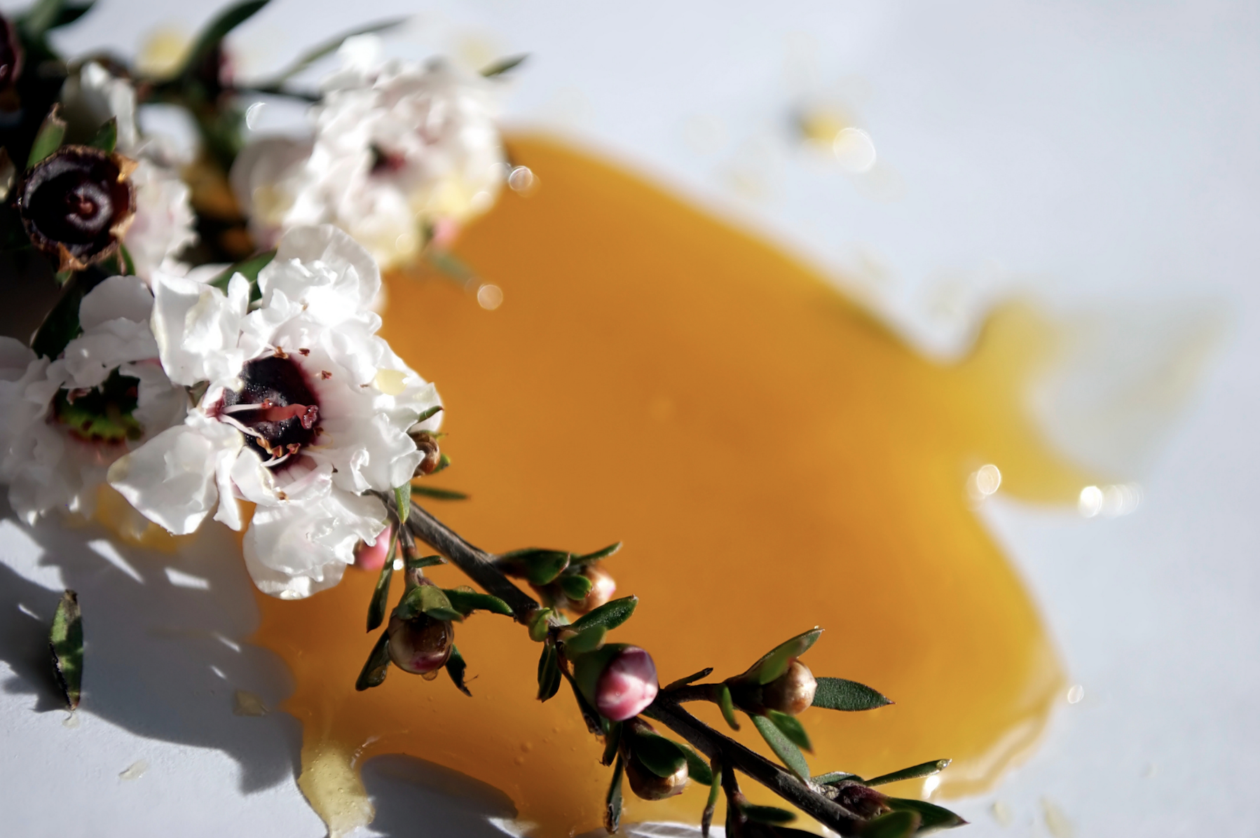Therapeutic manuka honey can be used to get rid of harmful oral bacteria and can treat wounds. 