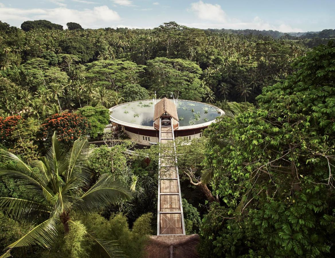 jungle resorts in bali indonesia