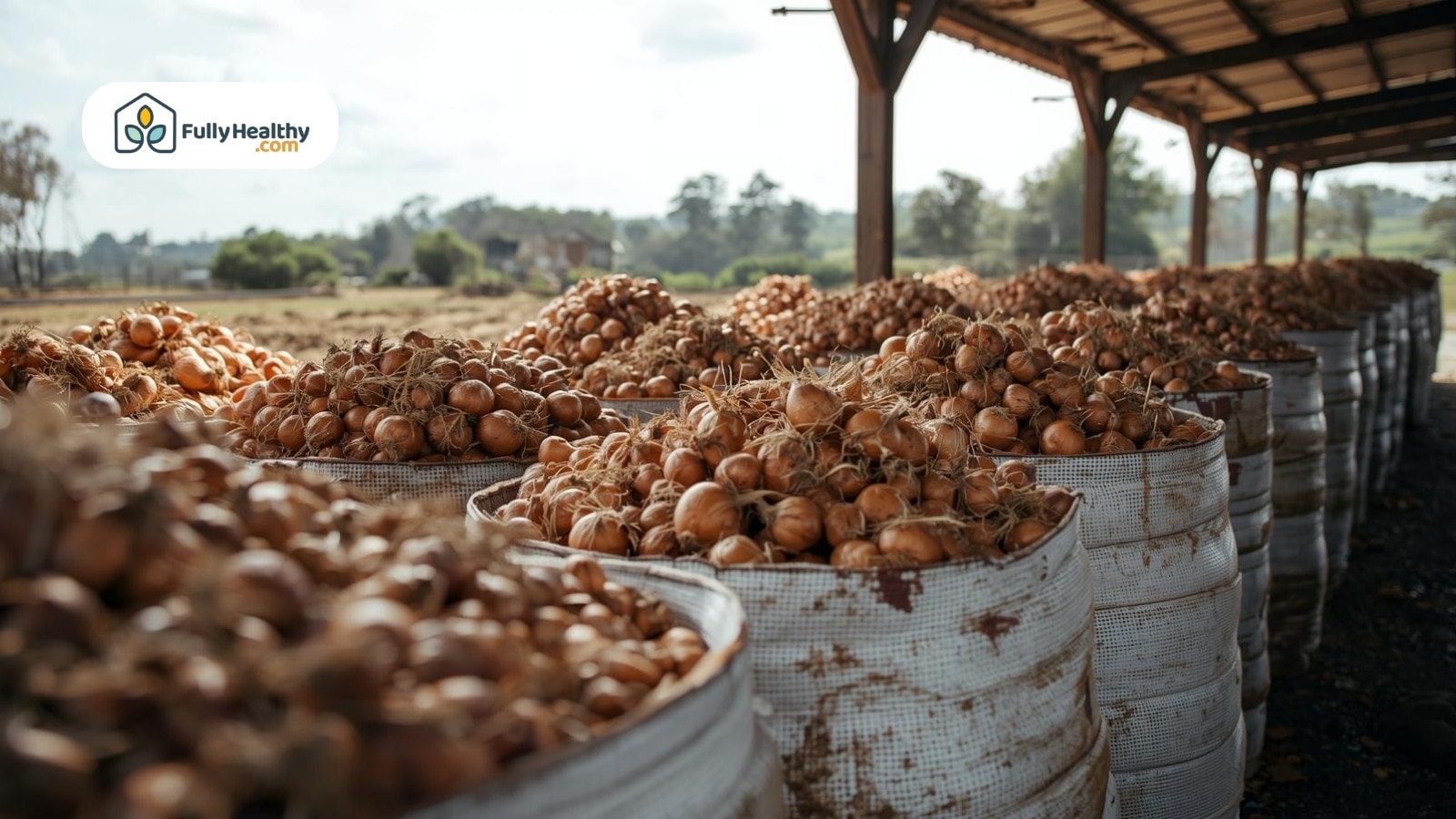 Large baskets filled with onions under shaded farm structure