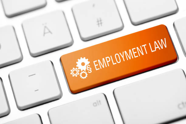 employment law 