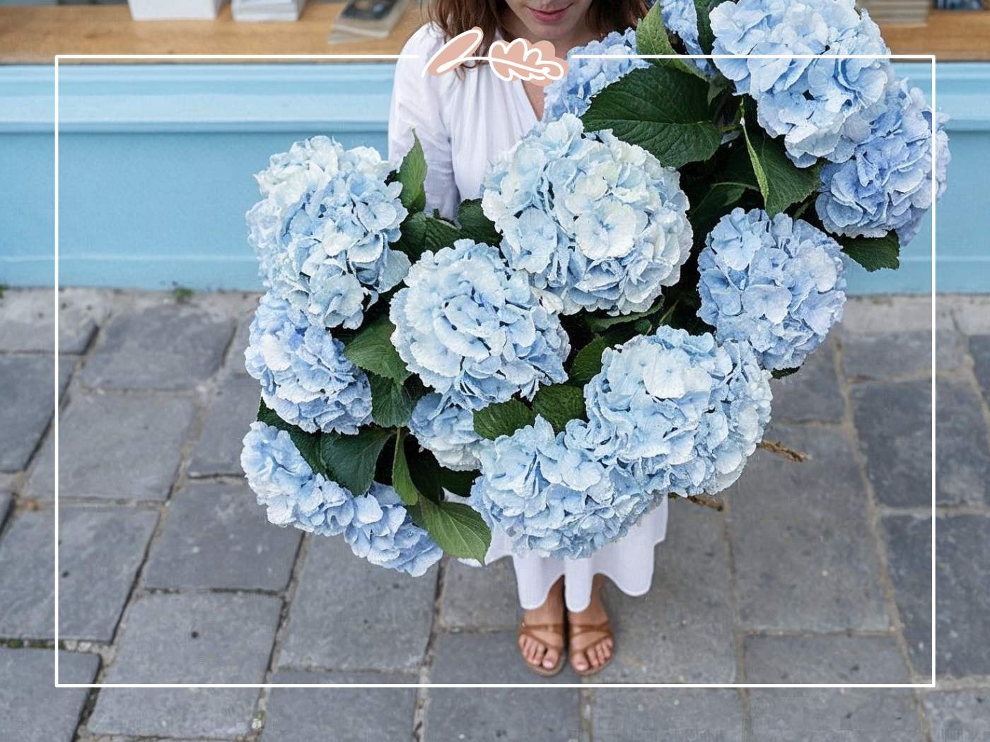 Woman in a white dress holding a hand-tied bouquet of fresh blue hydrangeas on a cobblestone street