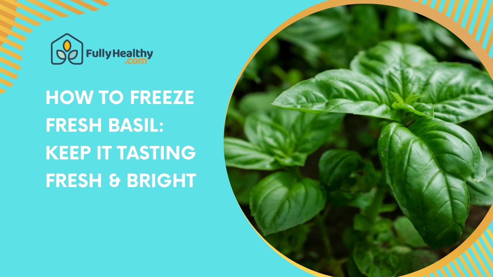 How to Freeze Fresh Basil: Keep It Tasting Fresh & Bright