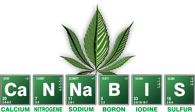hemp plant, cannabis laws, hhc oil