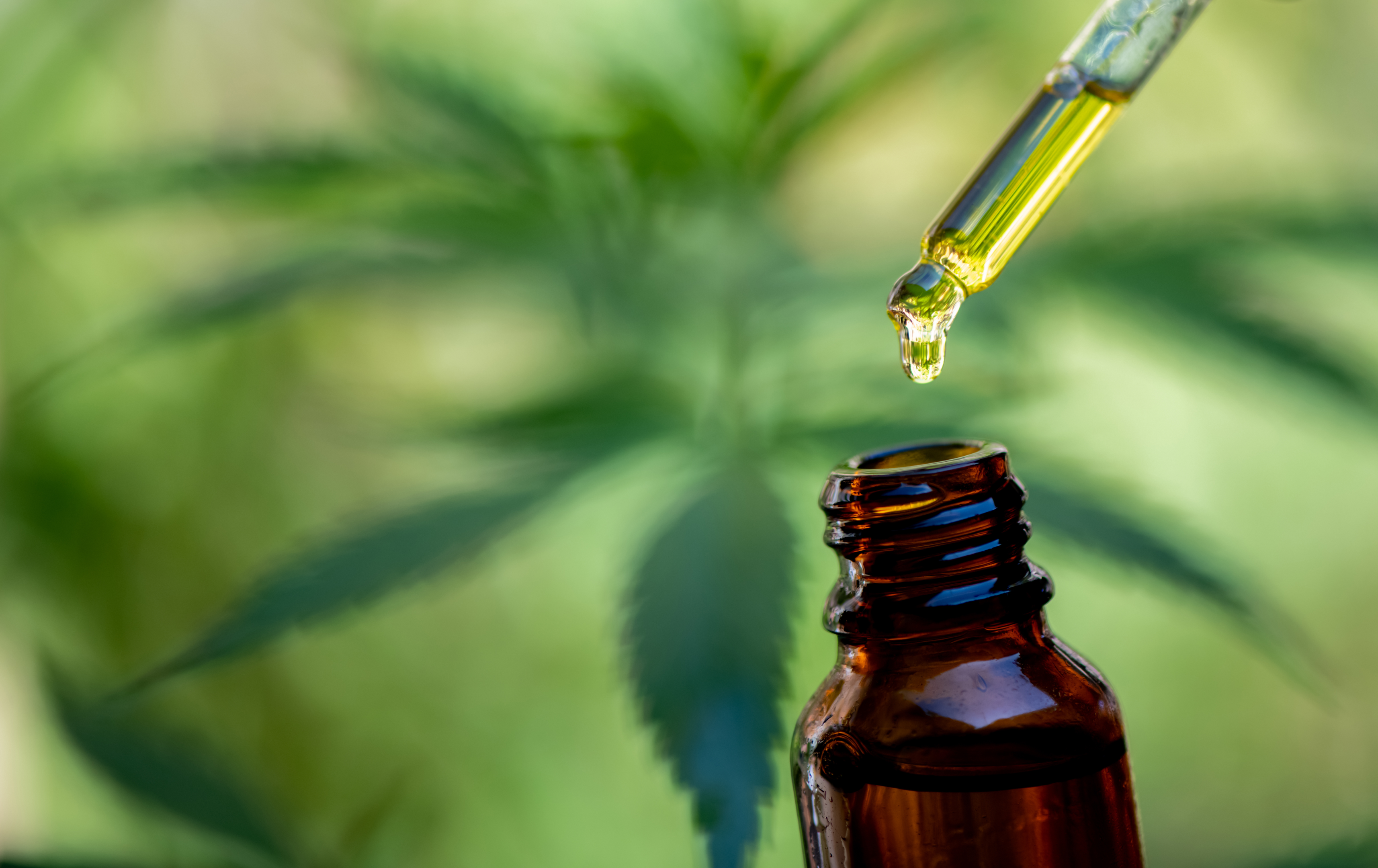 The power of cannabinoids is still being learned with pain and wellness management.