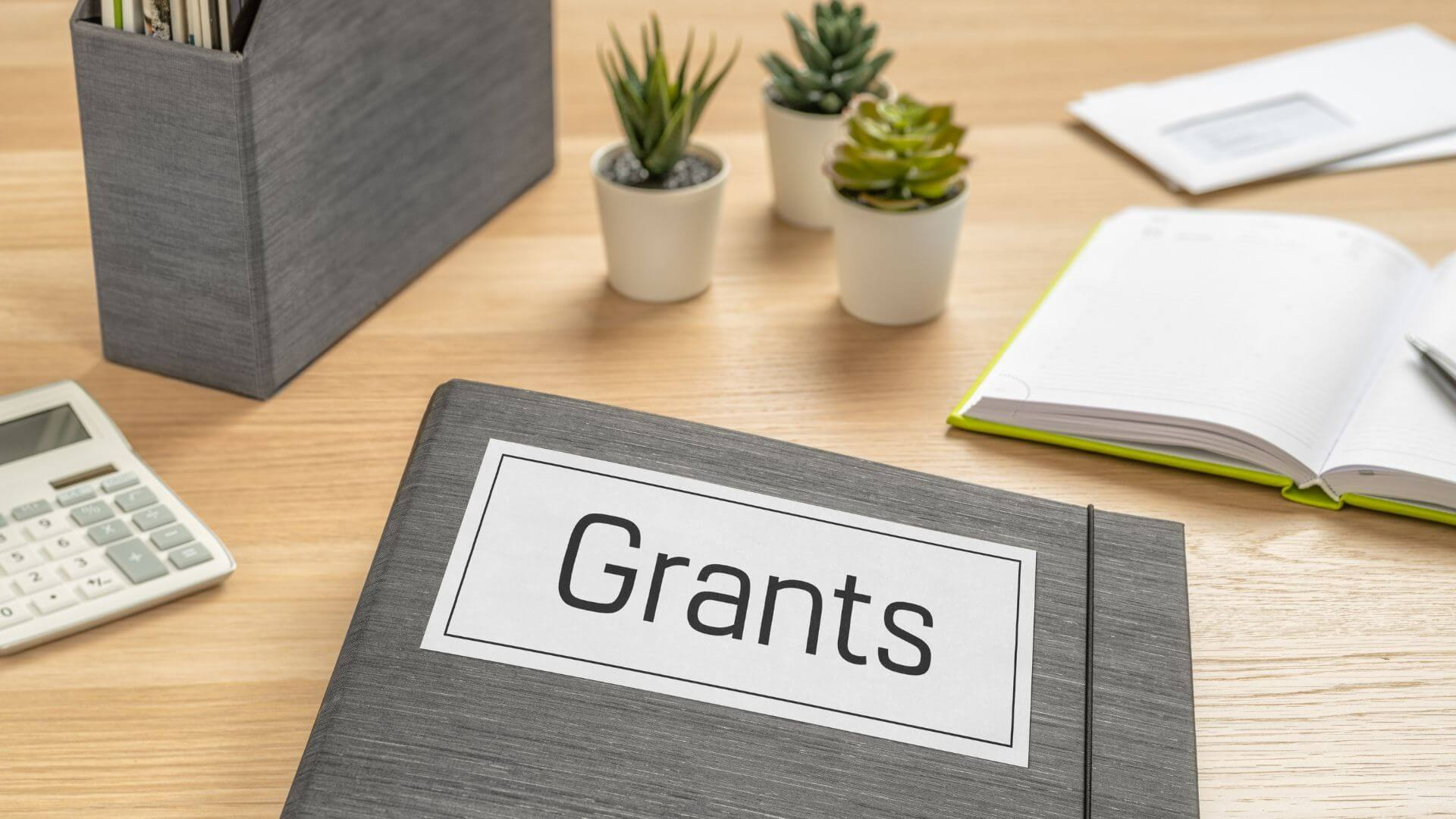 What are Google Ad Grants?
