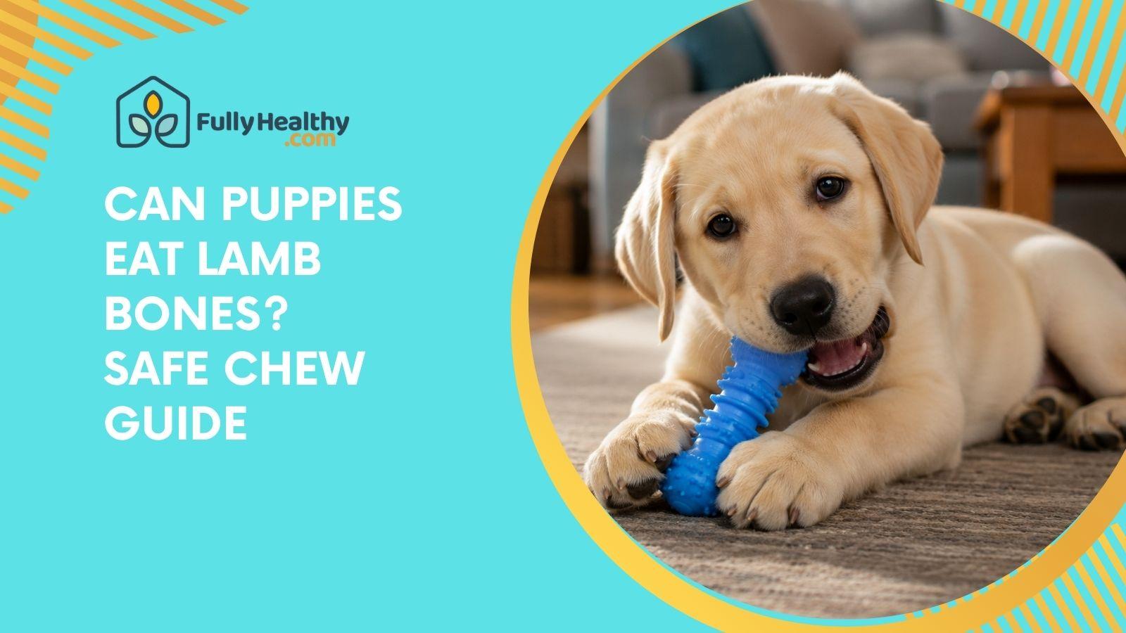 Can Puppies Eat Lamb Bones? Safe Chew Guide