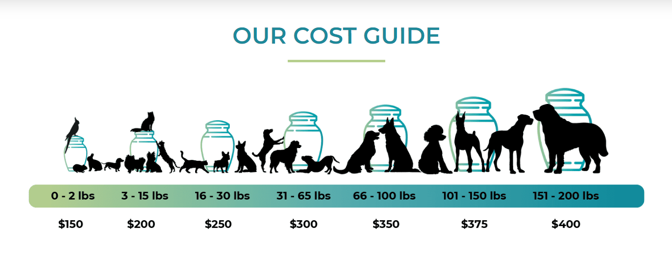 So Loved Pets Cost Guide 