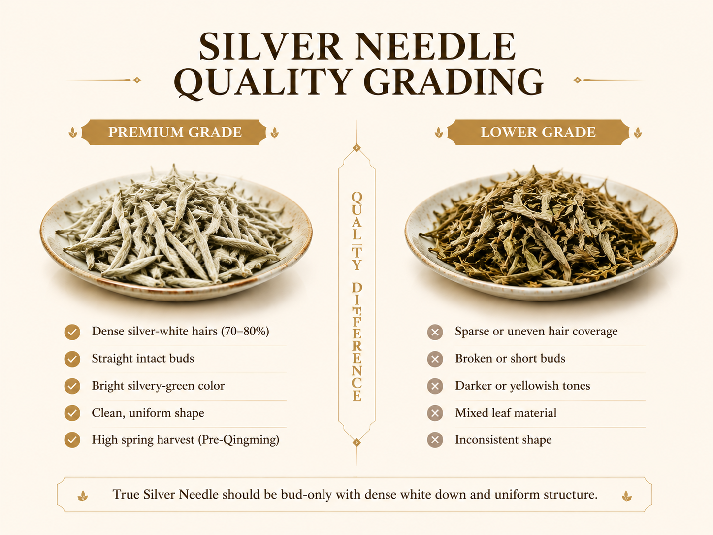 SILVER NEEDLE QUALITY GRADING