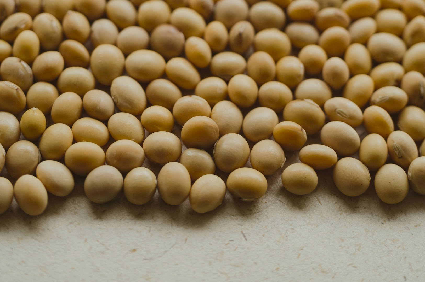 A close-up of scattered soybeans on a beige surface. The light creates a warm, earthy tone, highlighting the smooth, round texture of the beans.