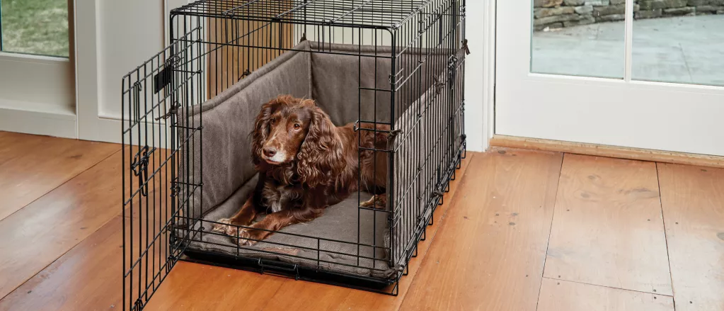 Crate Training Tips