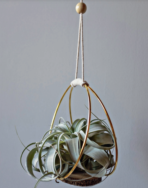 swinging plant hanger 