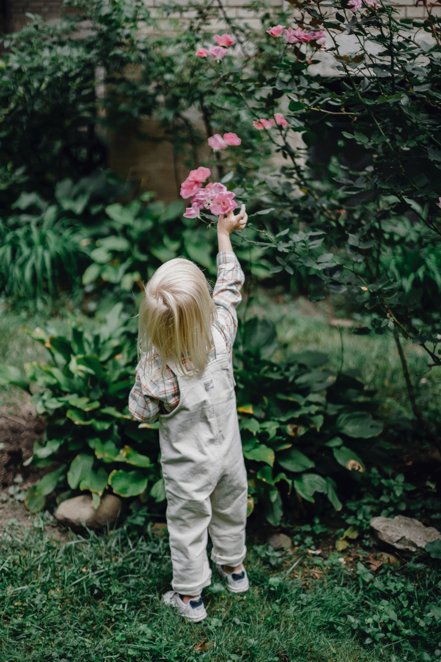 A child playing with toys, demonstrating physical and cognitive development