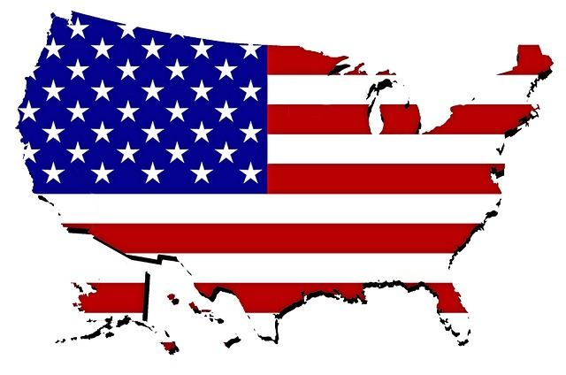 USA Flag Map