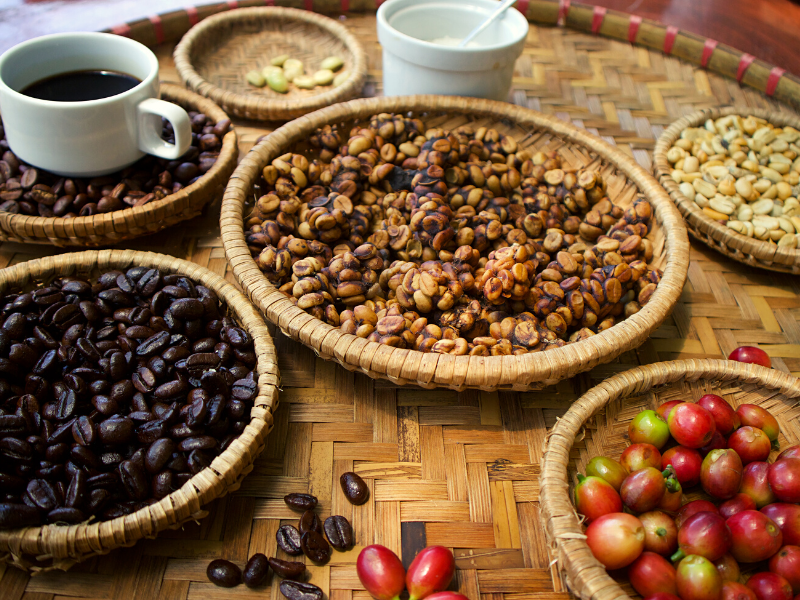 Torrões de café, grãos maduros e torrados em cestos sobre a mesa. Imagem: Yuliya Drasdovich para Getty Images - Canva.