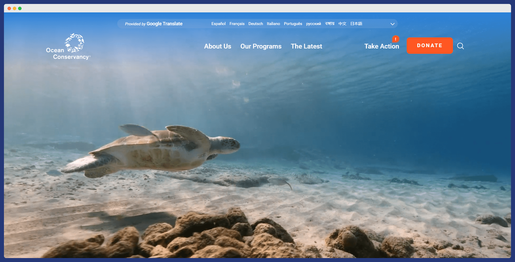 Ocean Conservancy website's homepage