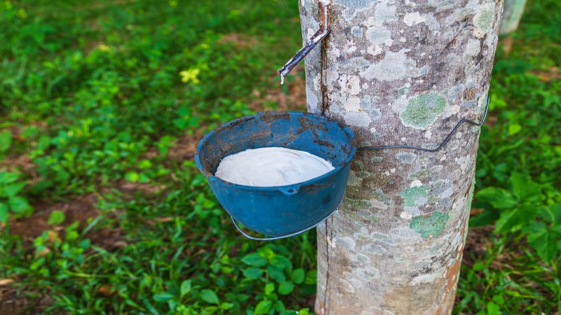 Natural rubber