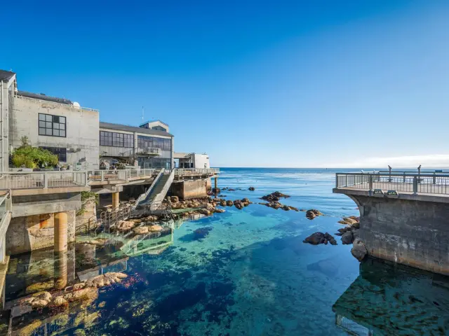 Things to Do in California for Families - Monterey Bay Aquarium